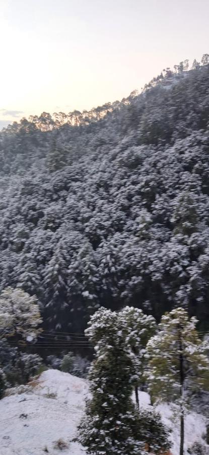 Solitude Inn Bnb Šimla Exteriér fotografie